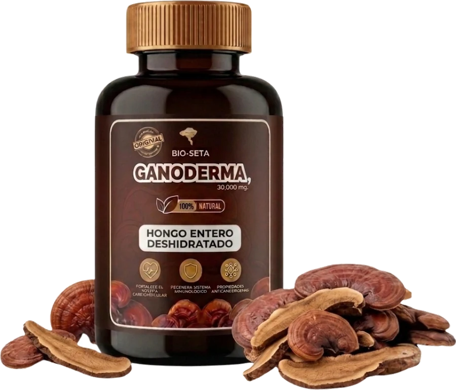 Ganoderma · Hongo entero
